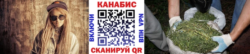 Шишки марихуана планчик  закладка  Котельнич 